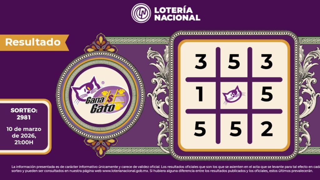 Ganador gana gato 2981