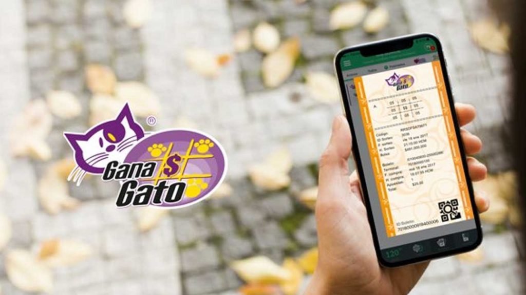 Hoy se juega el Gana Gato 2404