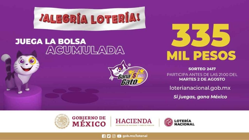 Conoce a los ganadores el Gana Gato