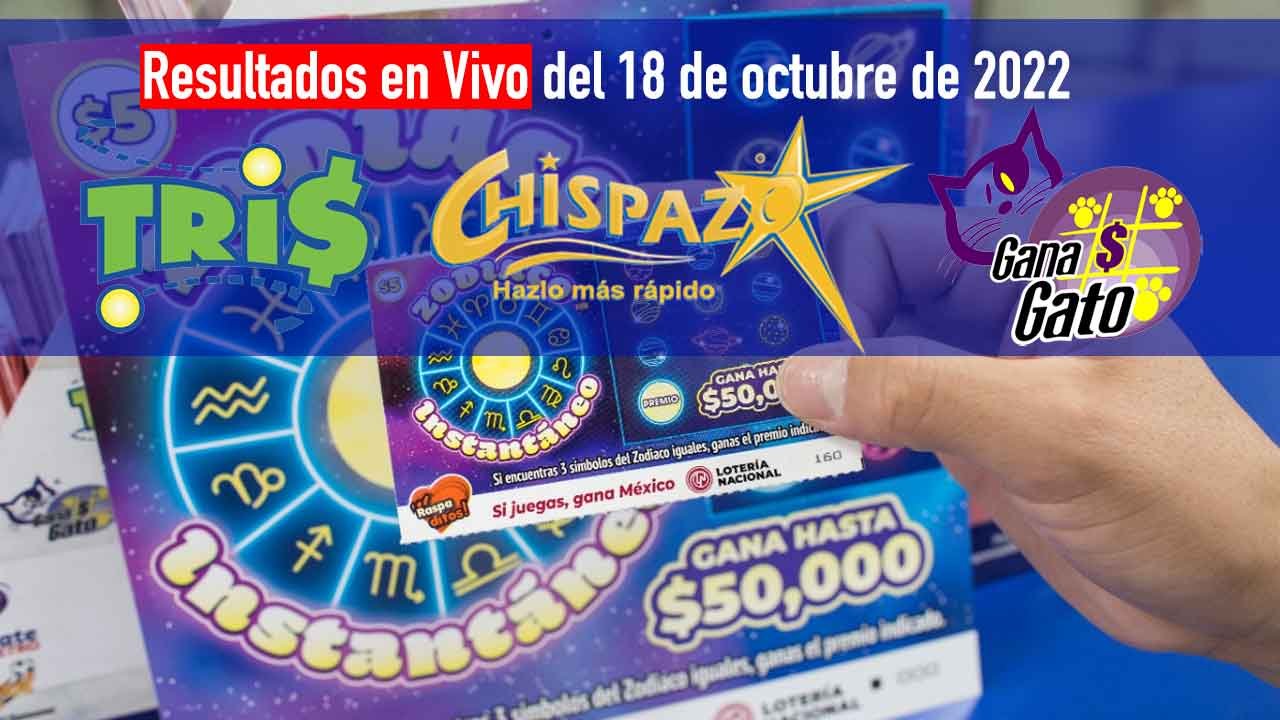 Checa a los ganadores del Gana Gato