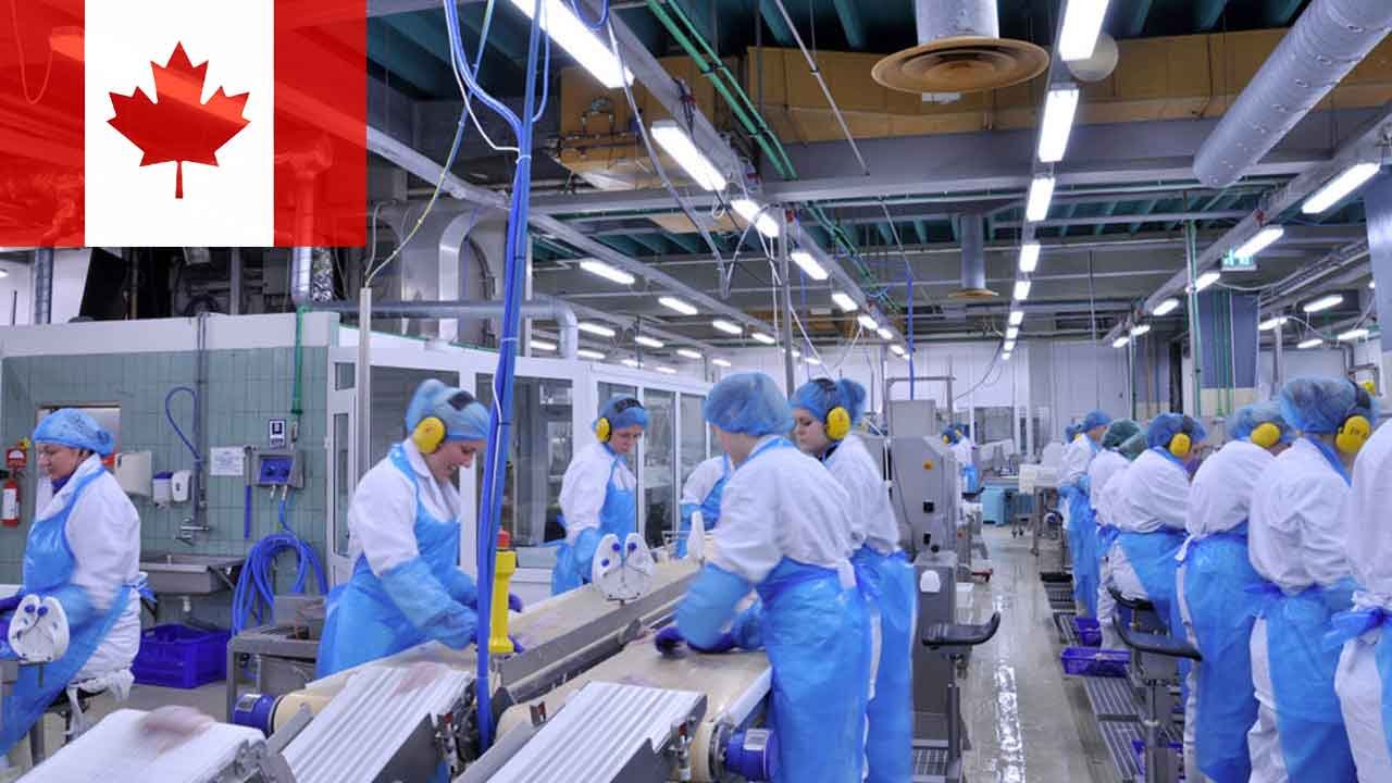 Los mexicanos buscan trabajo en Canadá