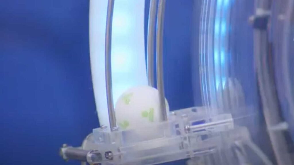 Checa los ganadores de estos sorteos