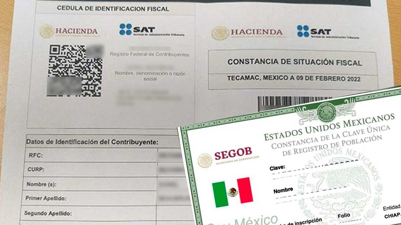 Consultar tu RFC por CURP es sencillo