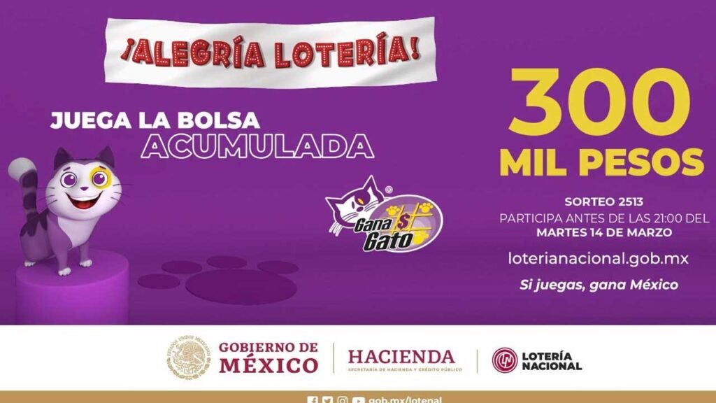 Sigue en vivo los resultados del gana gato