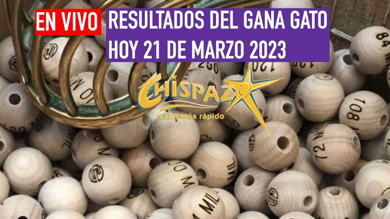 Hoy te compartimos los resultados gana gato 2516