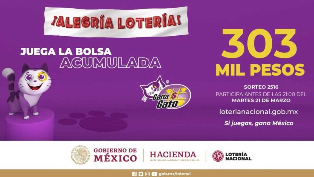 Sigue los resultados en vivo del gana gato