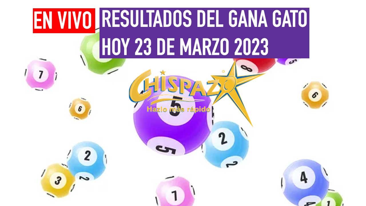 Te compartimos los ganadores del gana gato