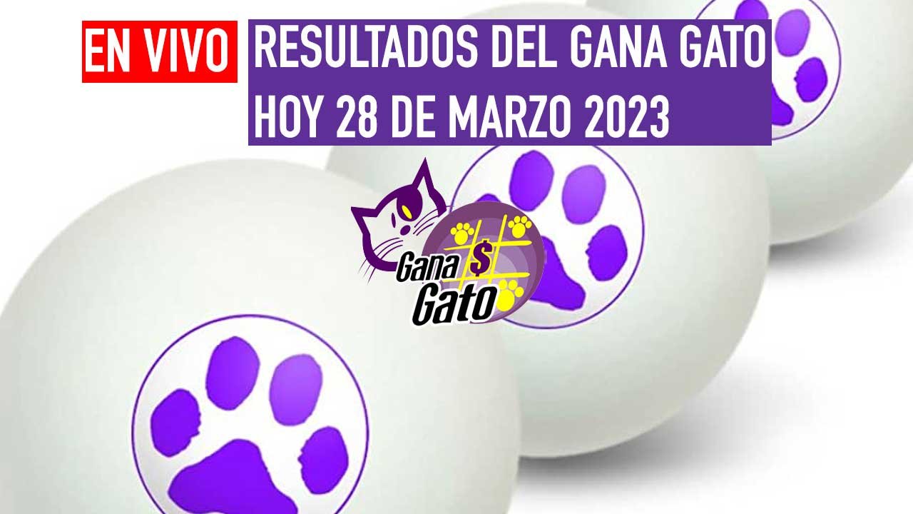 Estos son los resultados gana gato 2519