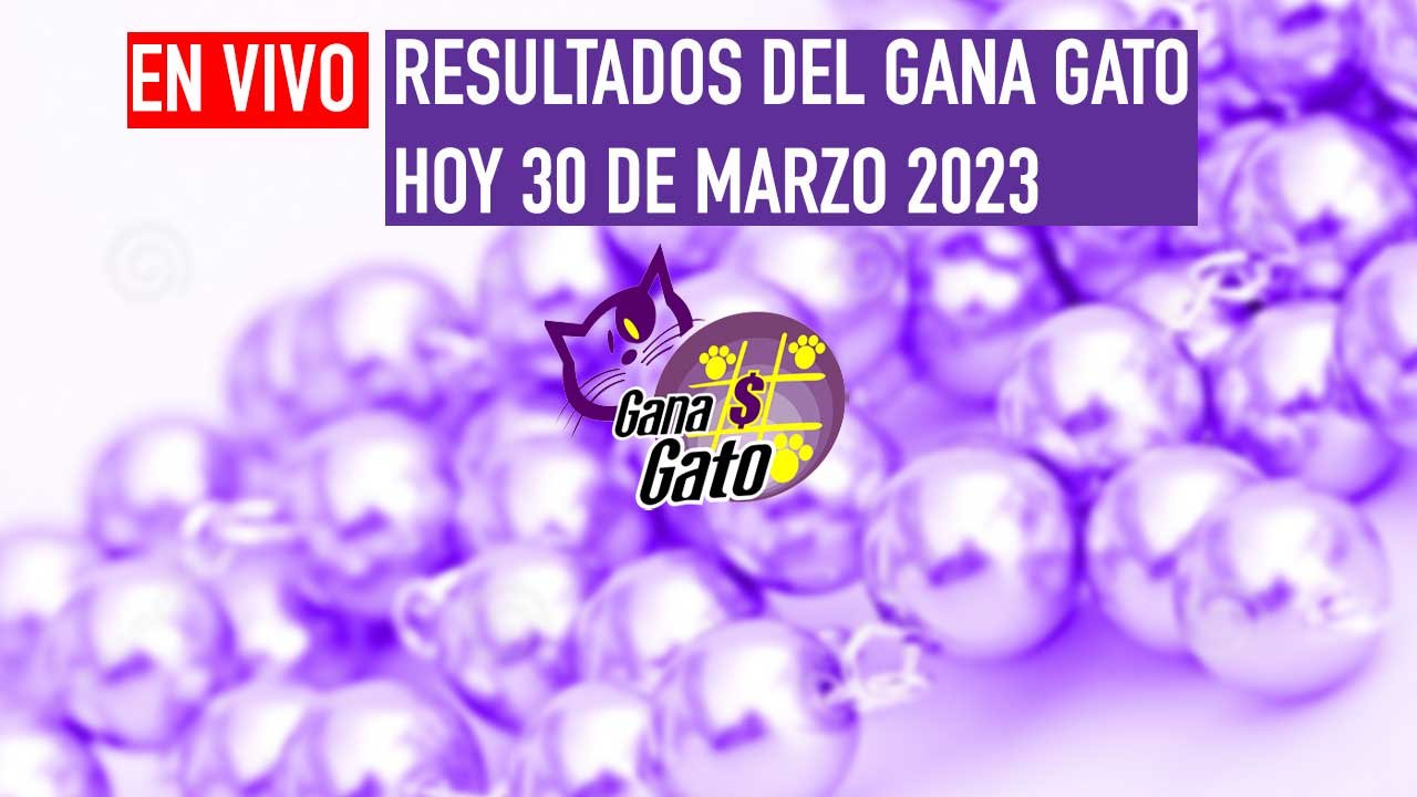 Estos son los resultados del gana gato 2520