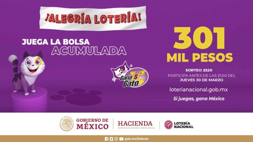 Sigue a los ganadores del gana gato