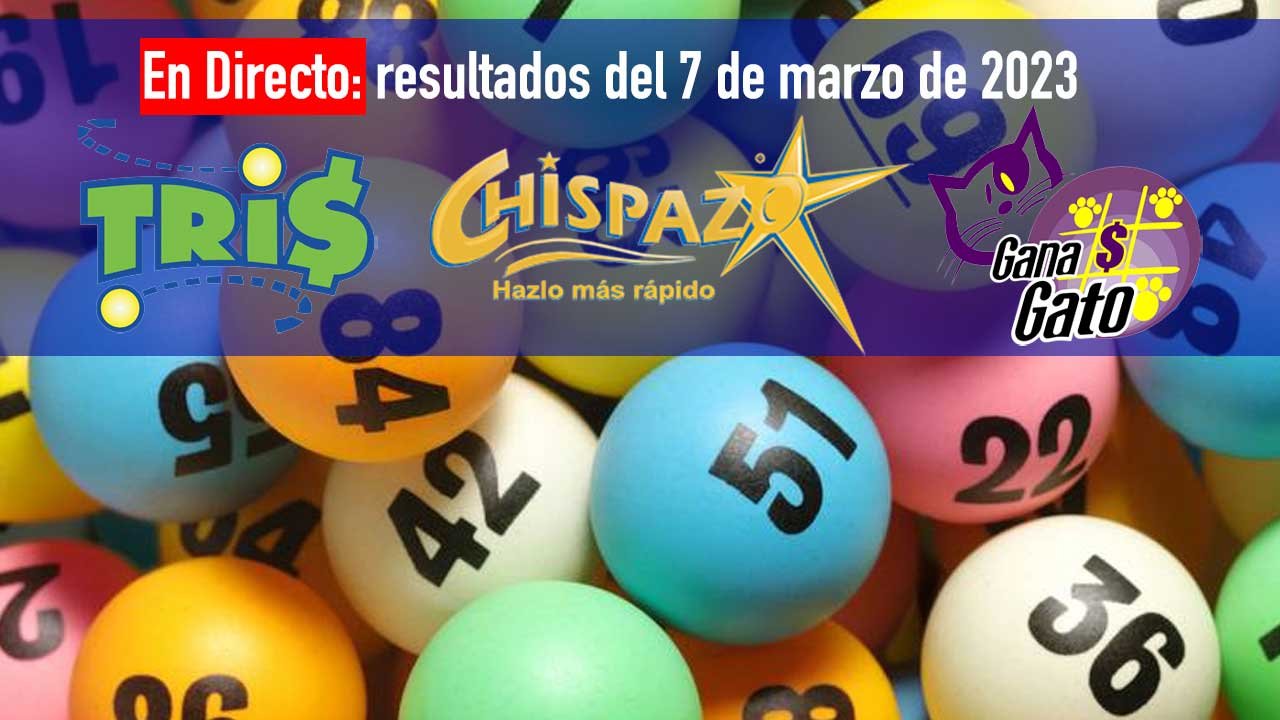 Conoce en vivo los resultados del gana gato