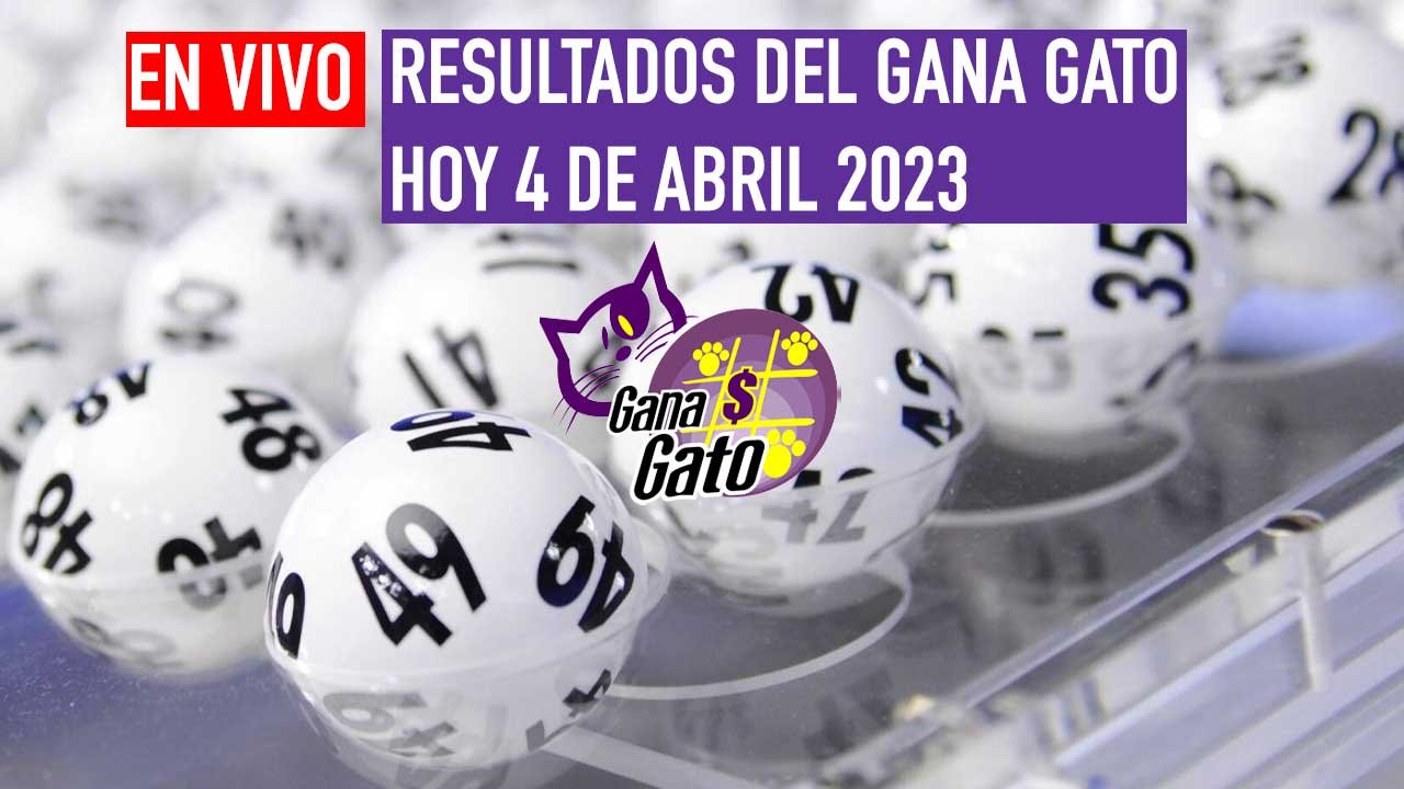 Estos son los ganadores del gana gato