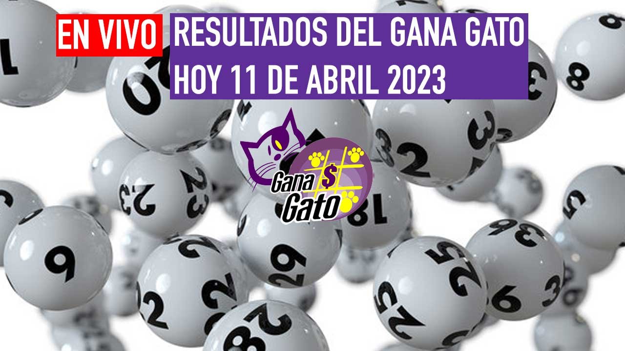 Hoy martes el gana gato 2525 juega por miles de pesos