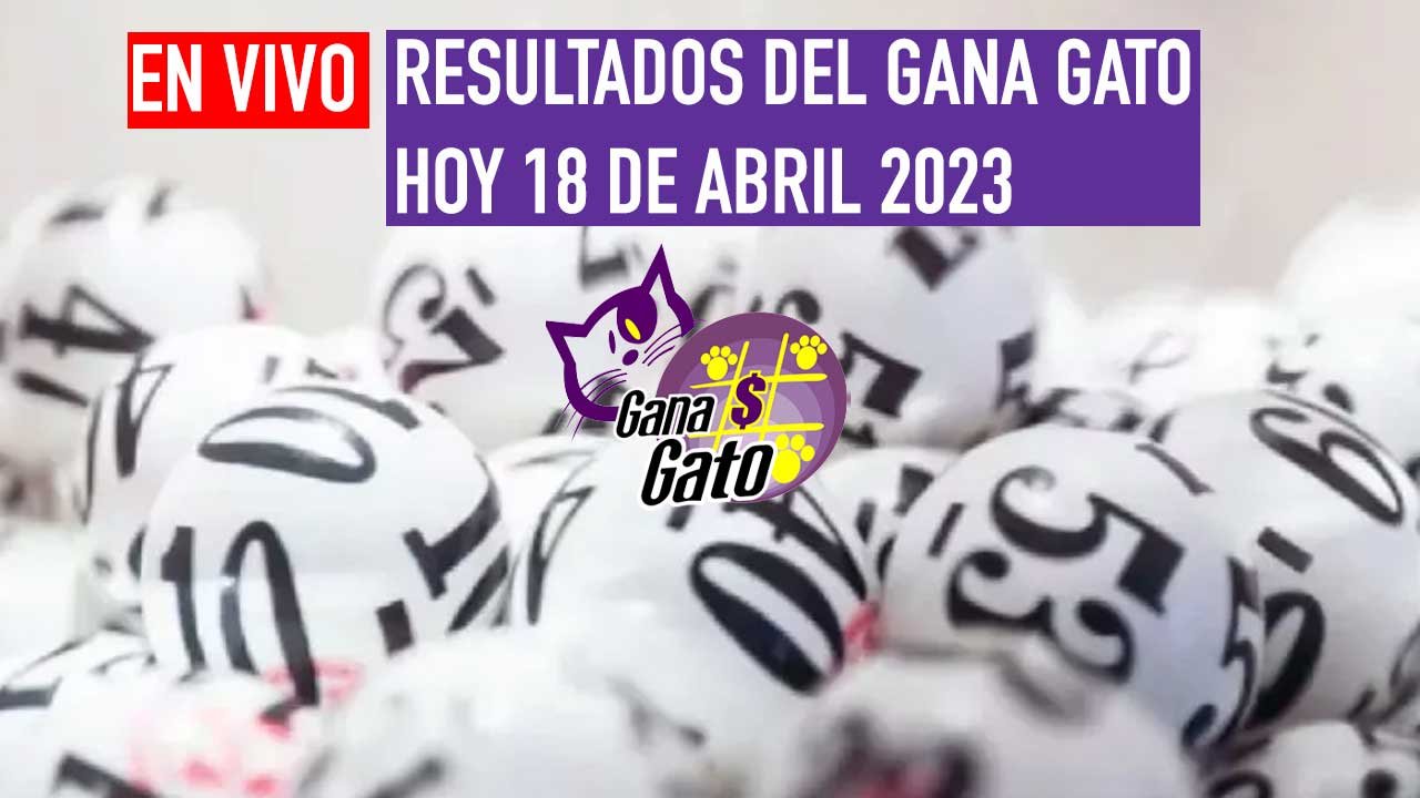 Este son los ganadores del Gana Gato 2528