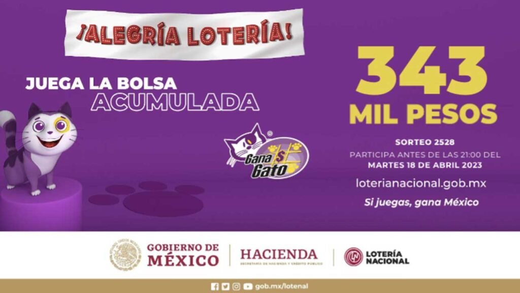 Checa los números premiados del gana gato