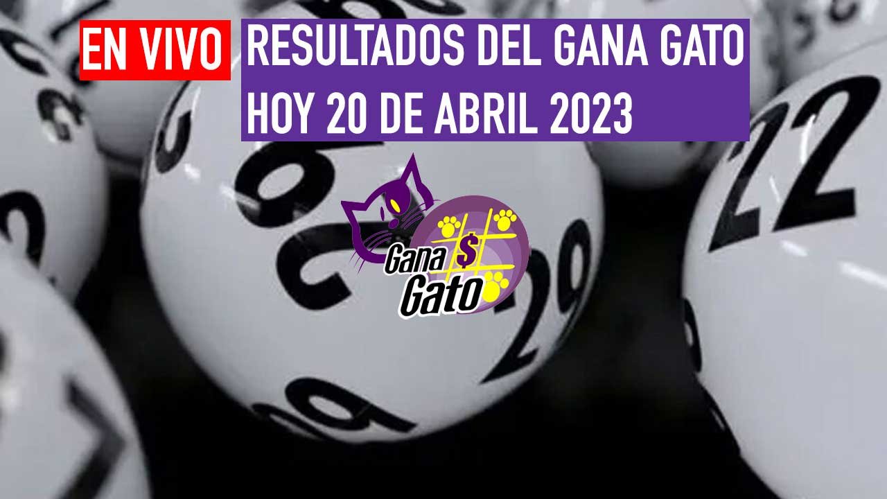 Hoy sigue los resultados gana gato del jueves
