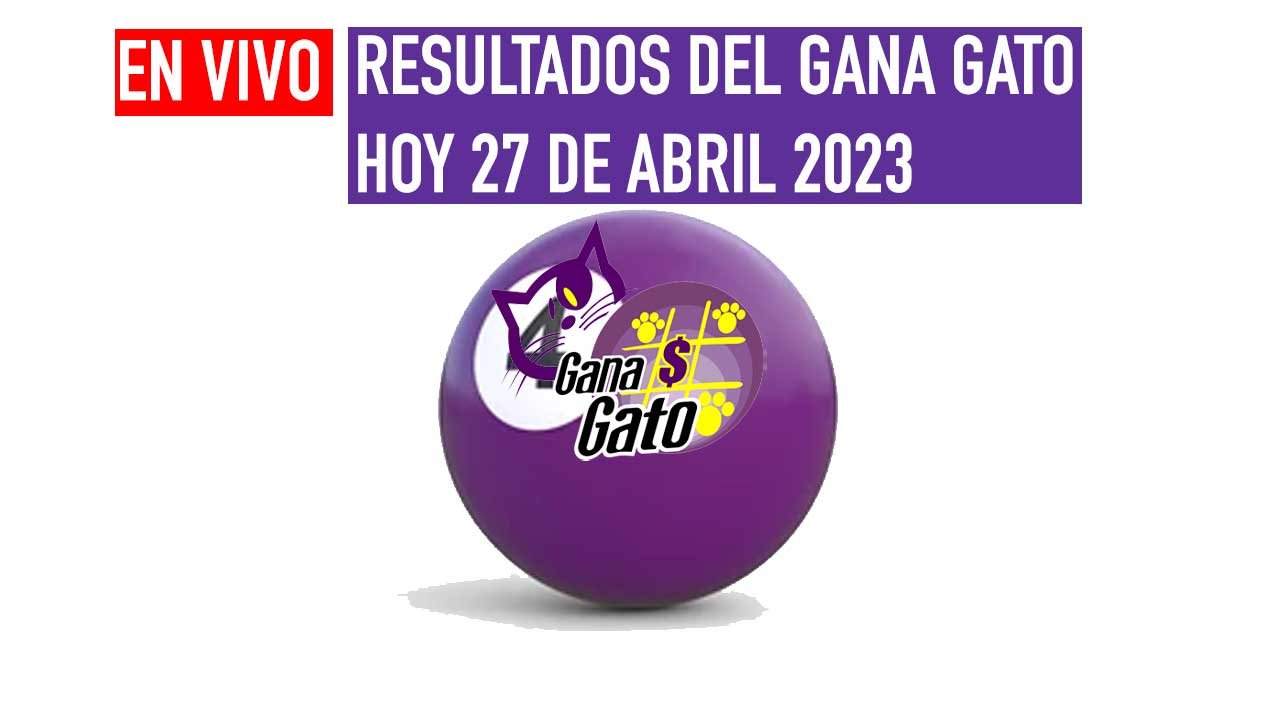 Este día checa los ganadores del gana gato