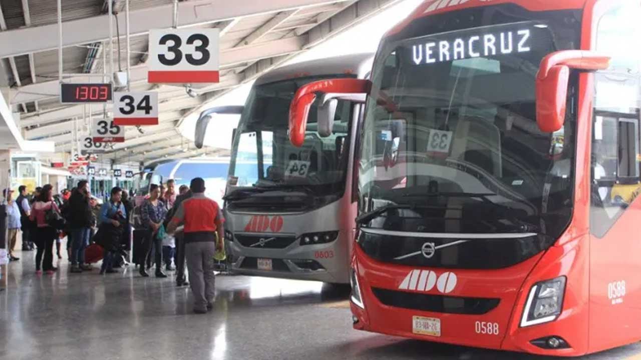 En vacaciones obtienes descuentos en boletos de autobús