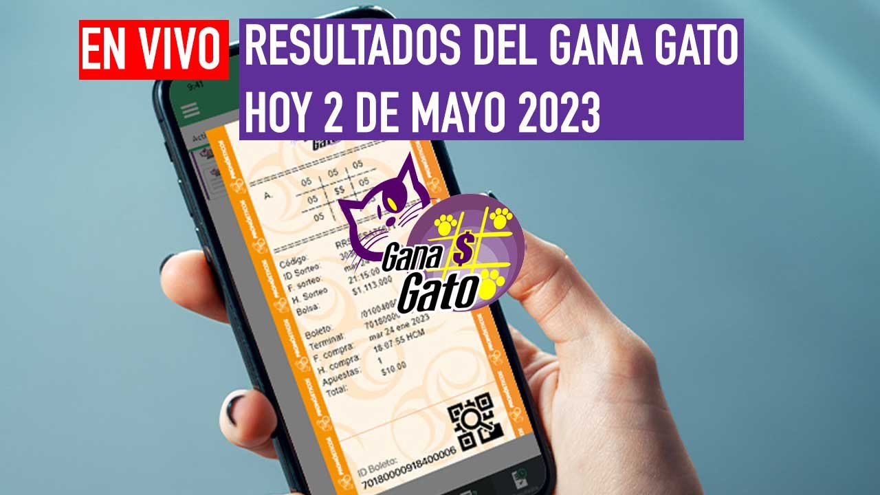 Hoy llega el gana gato con una bolsa de 770 mil pesos