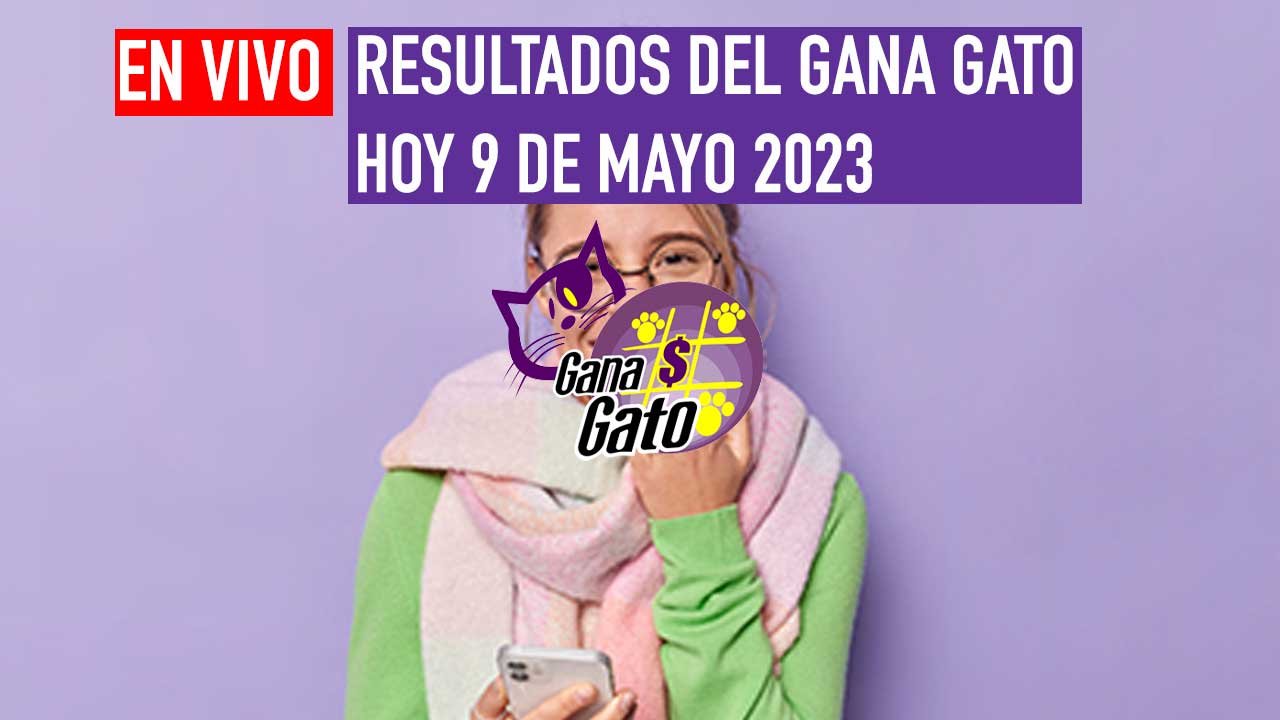 Este gana gato juega por miles de pesos