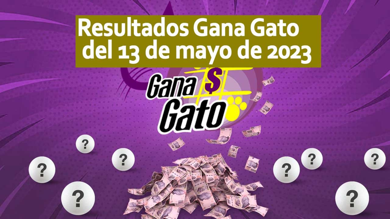 El gana gato juega por más de un millón