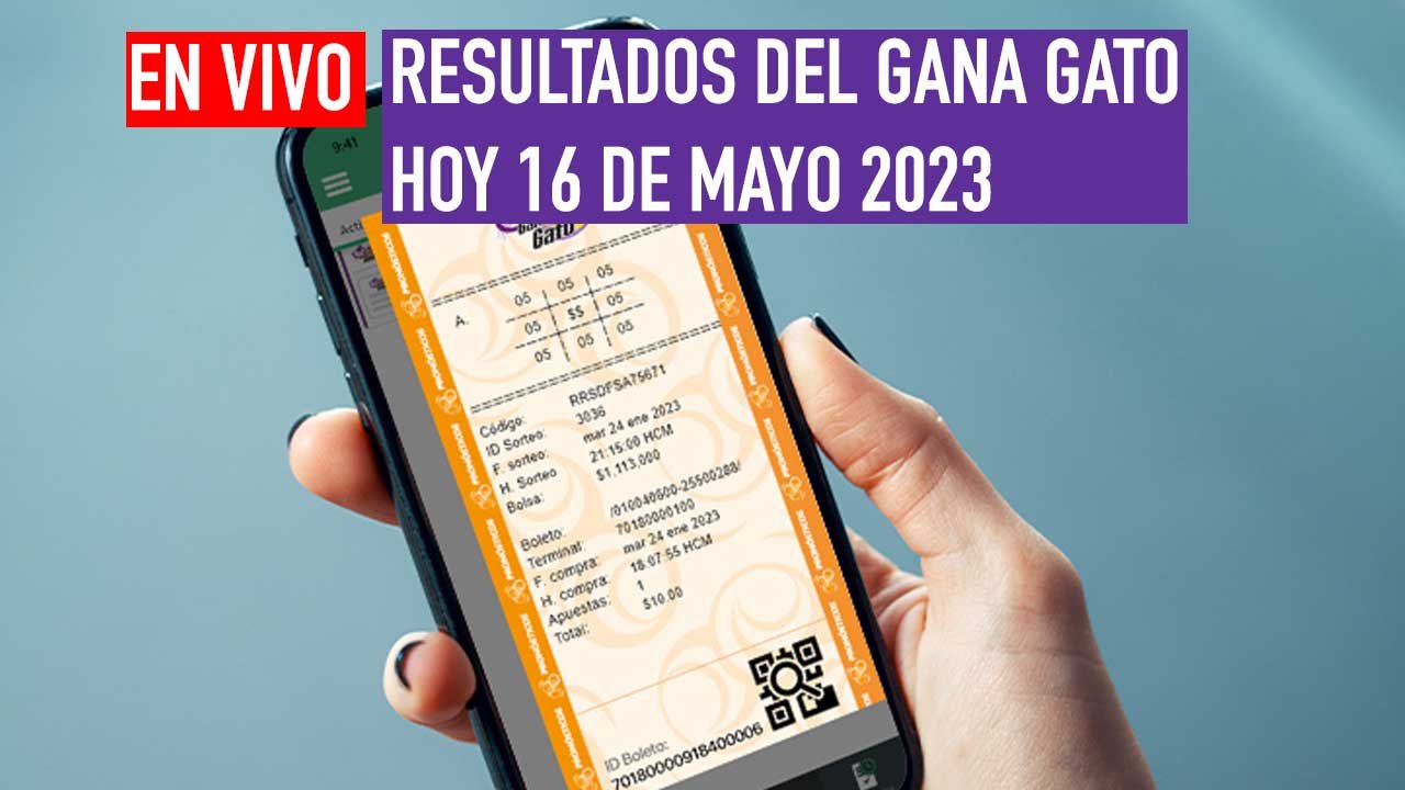 Checa a los ganadores del gana gato del martes
