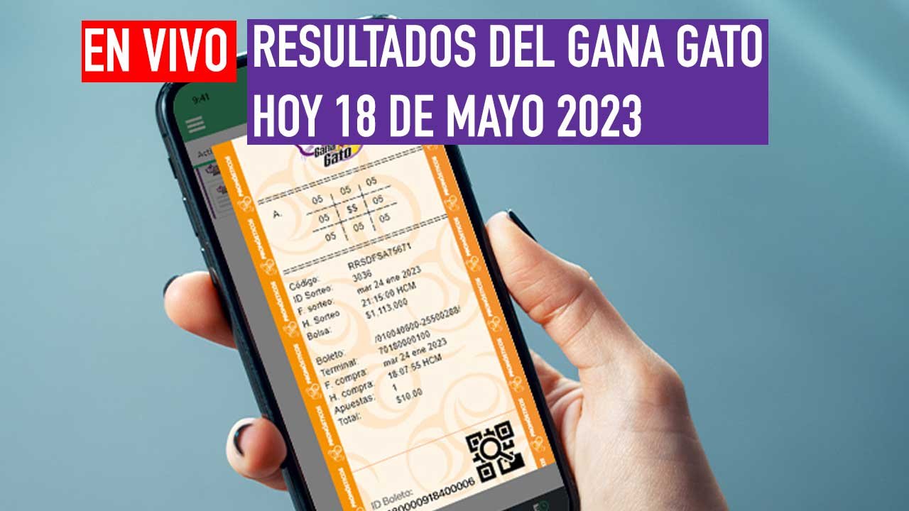 Estos son los resultados del gana gato