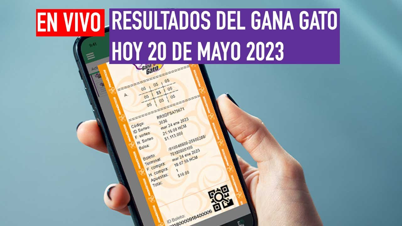 Sigue los resultados del gana gato de hoy sábado