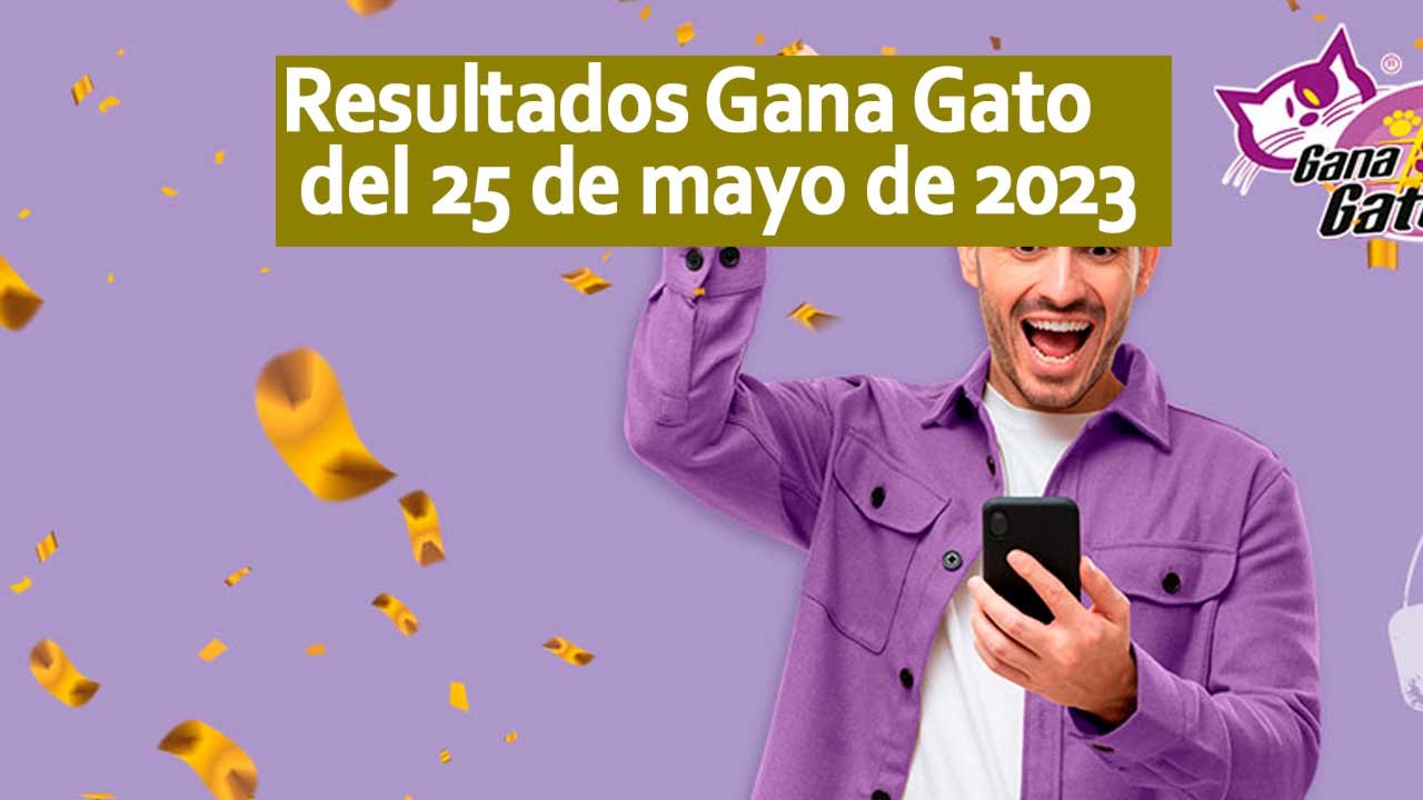 Te compartimos los resultados del gana gato