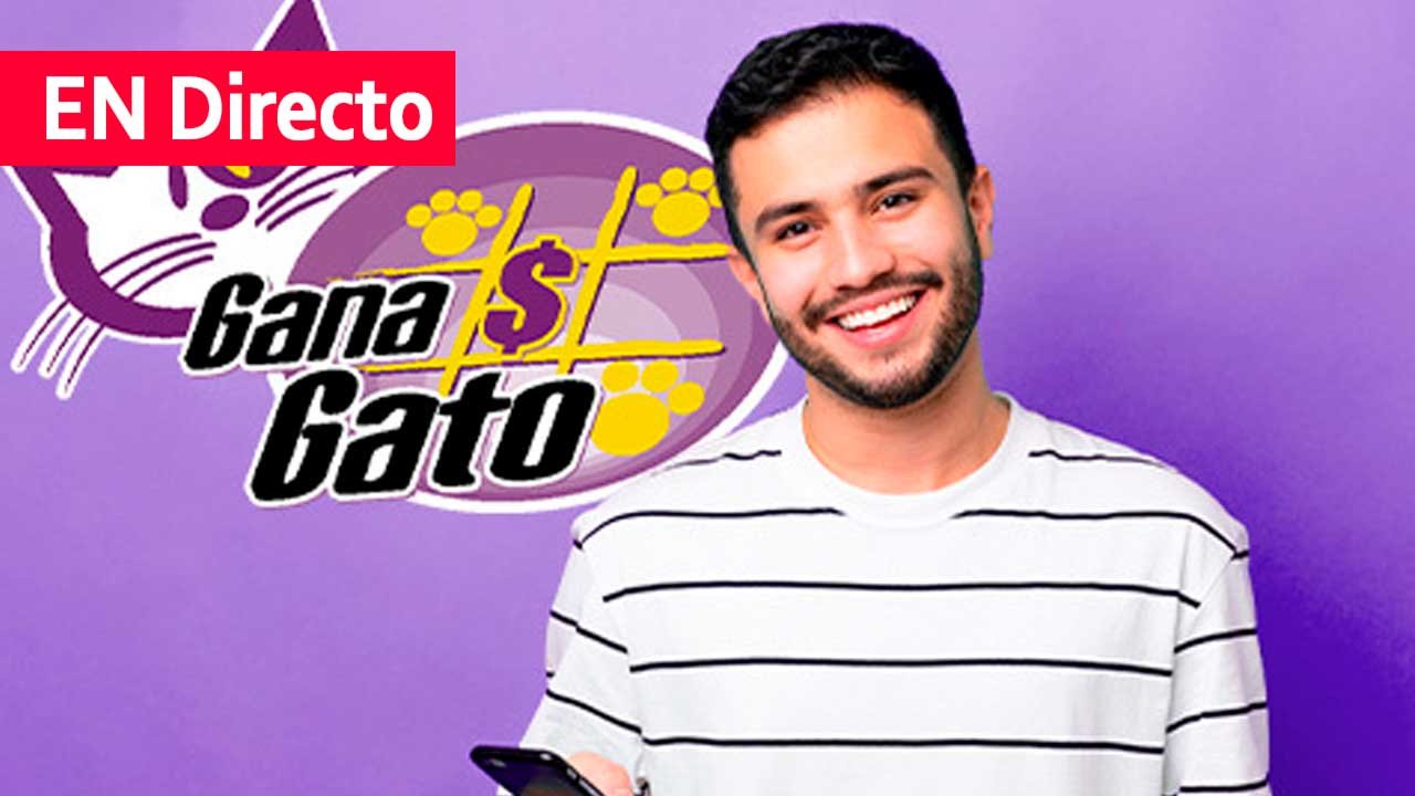 Checa los ganadores del gana gato 2545