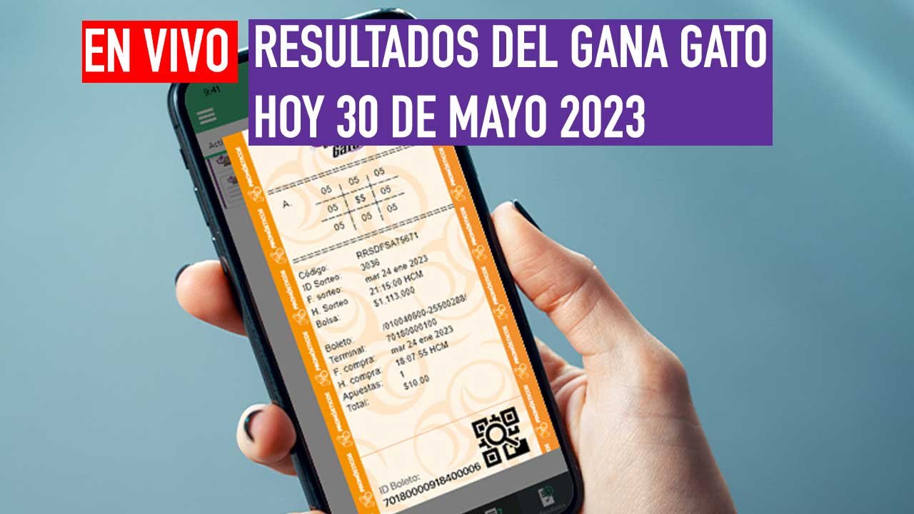 Checa los ganadores del gana gato