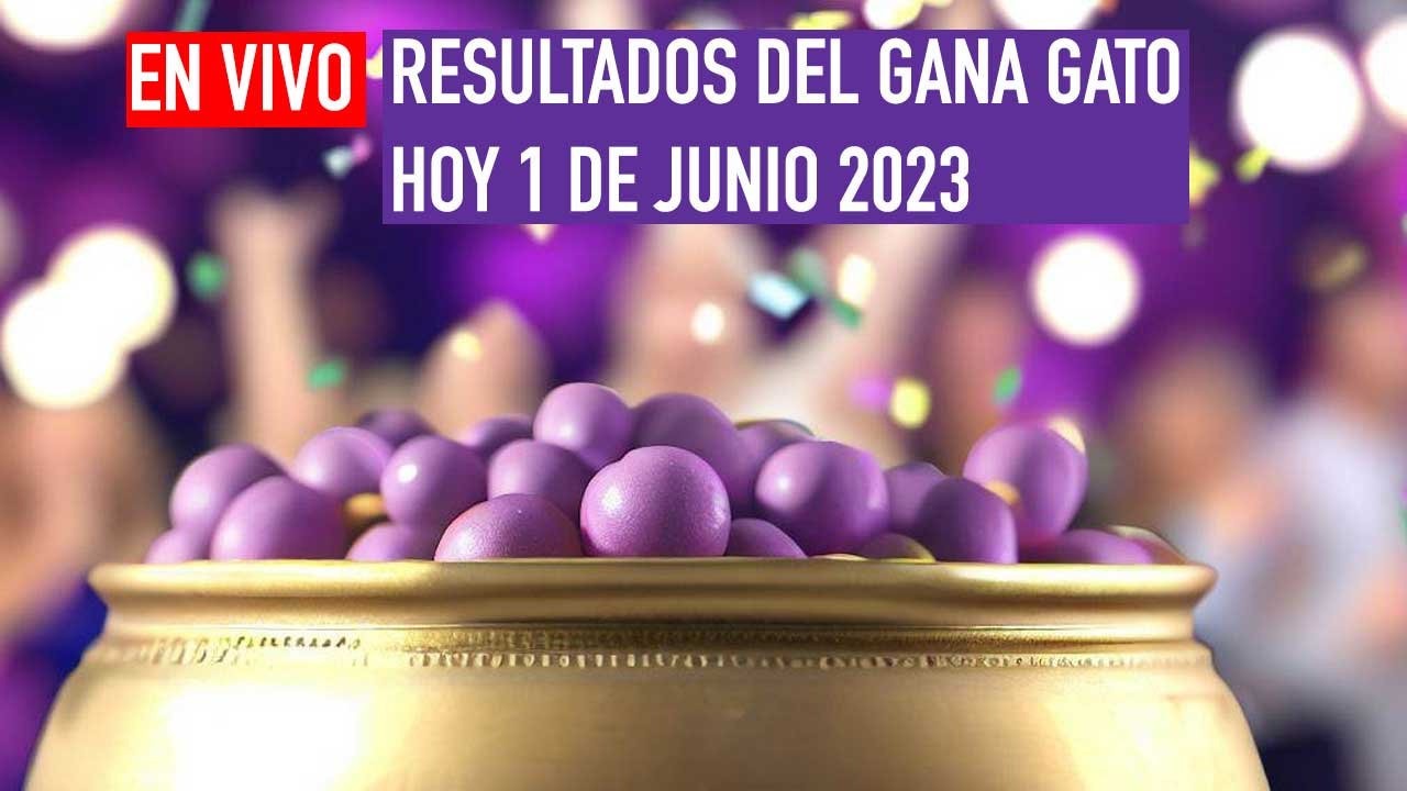 Este gana gato se juega por miles de pesos