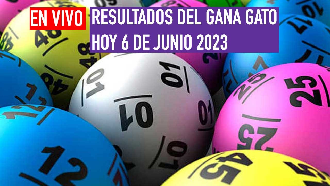 Este gana gato juega por miles de pesos