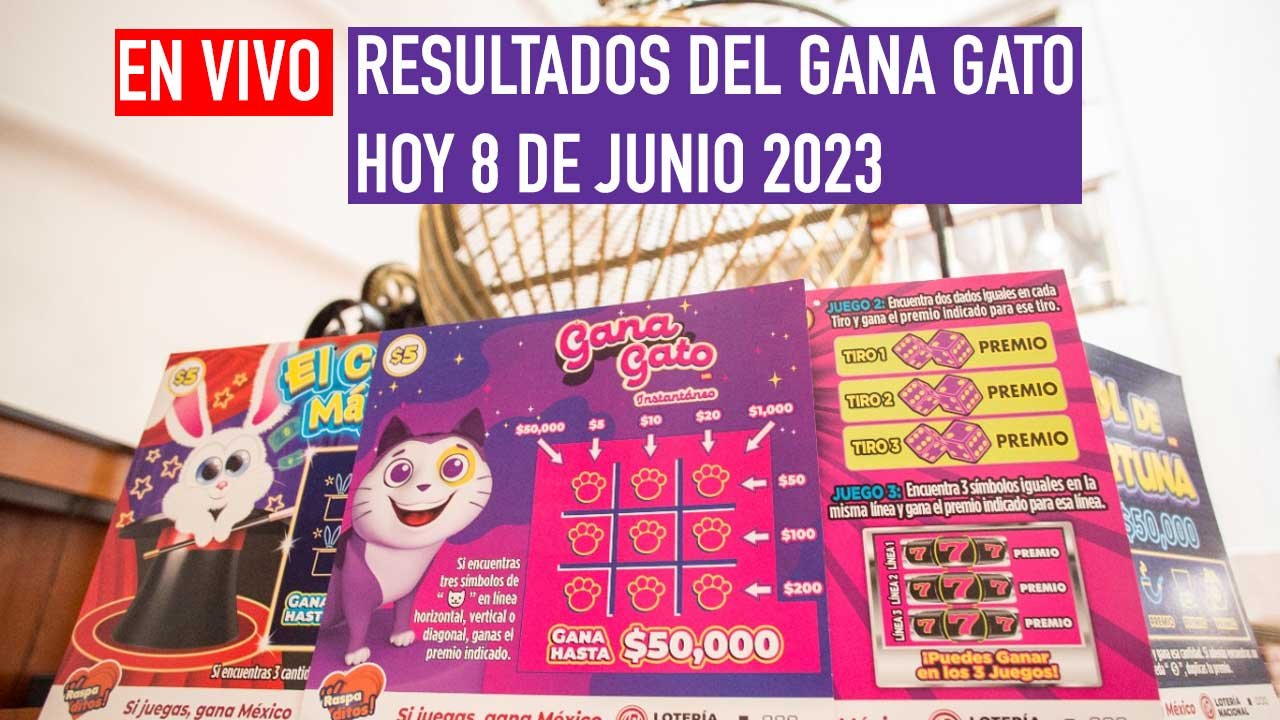 Llegan los ganadores del gana gato 2550