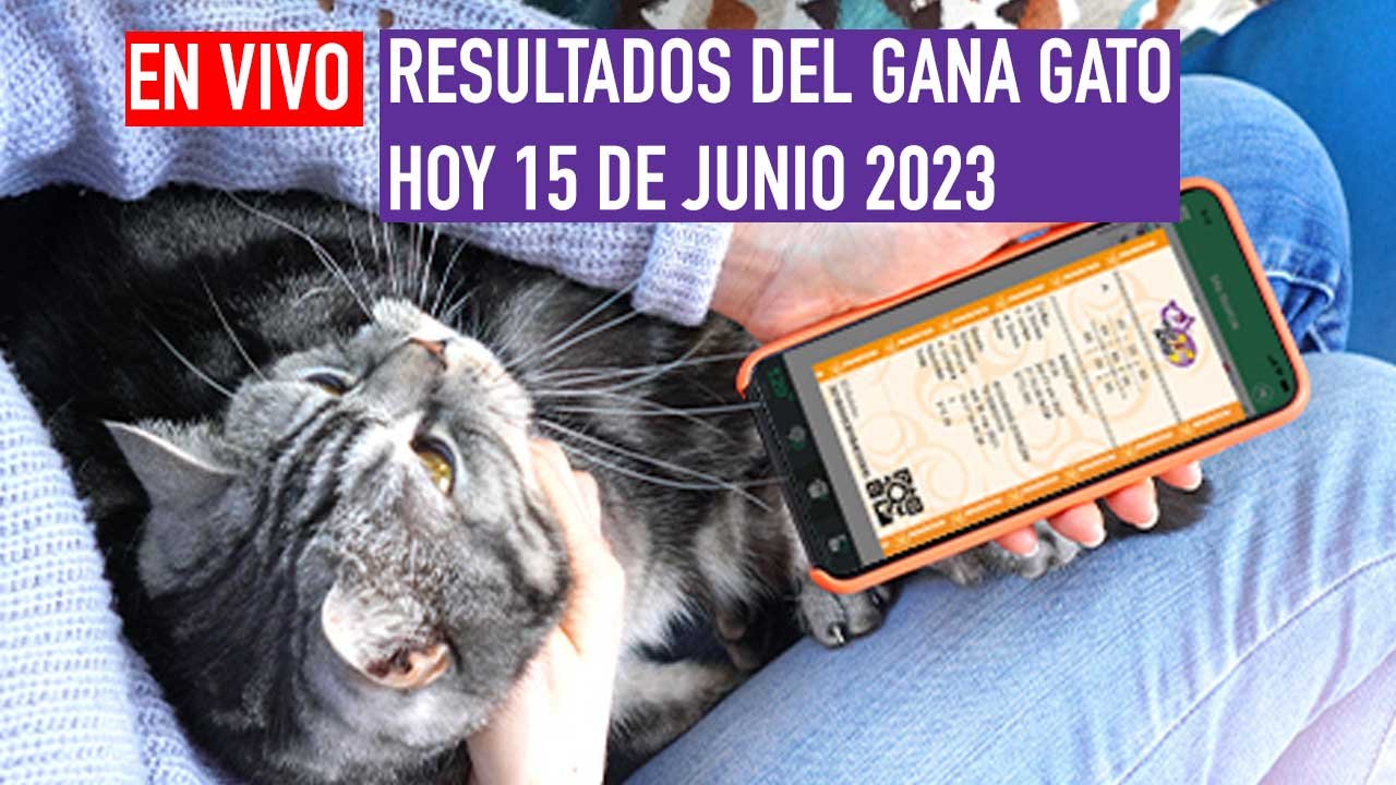 Te compartimos los ganadores del gana gato