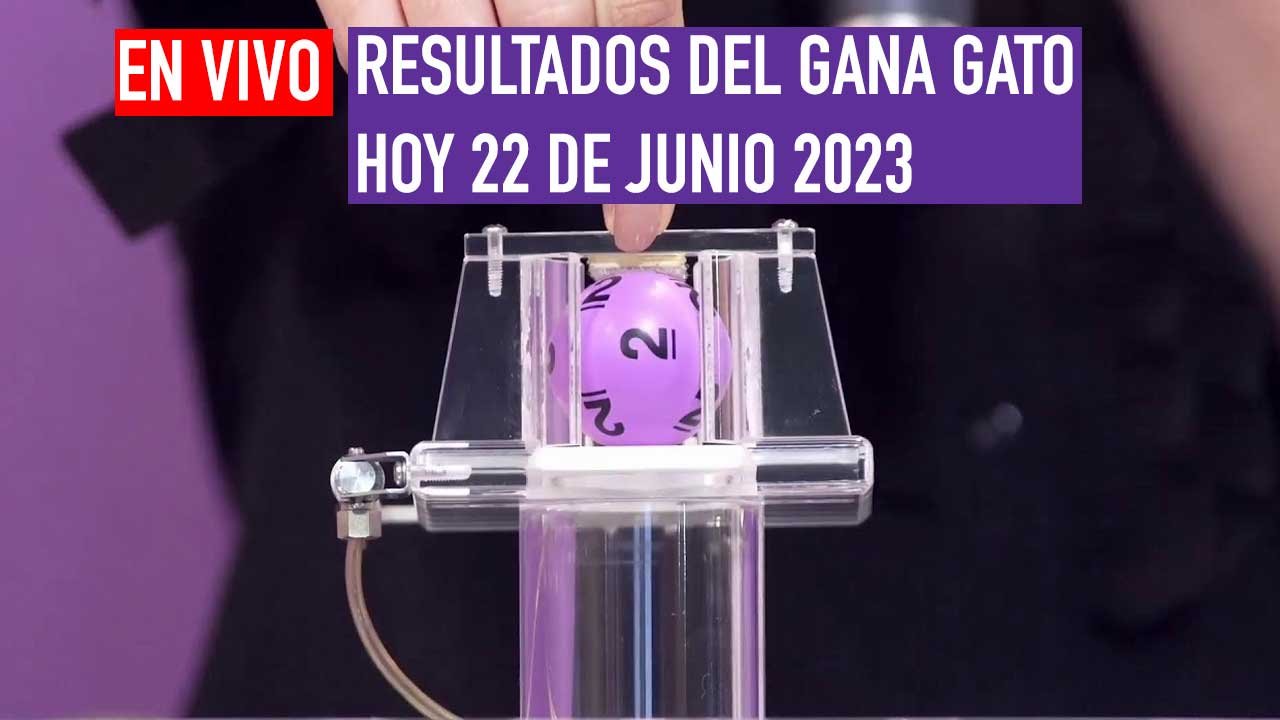 Te compartimos los ganadores del gana gato