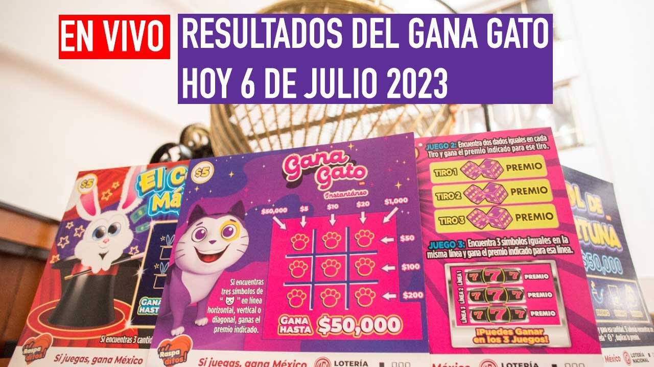 Sigue los ganadores del gana gato