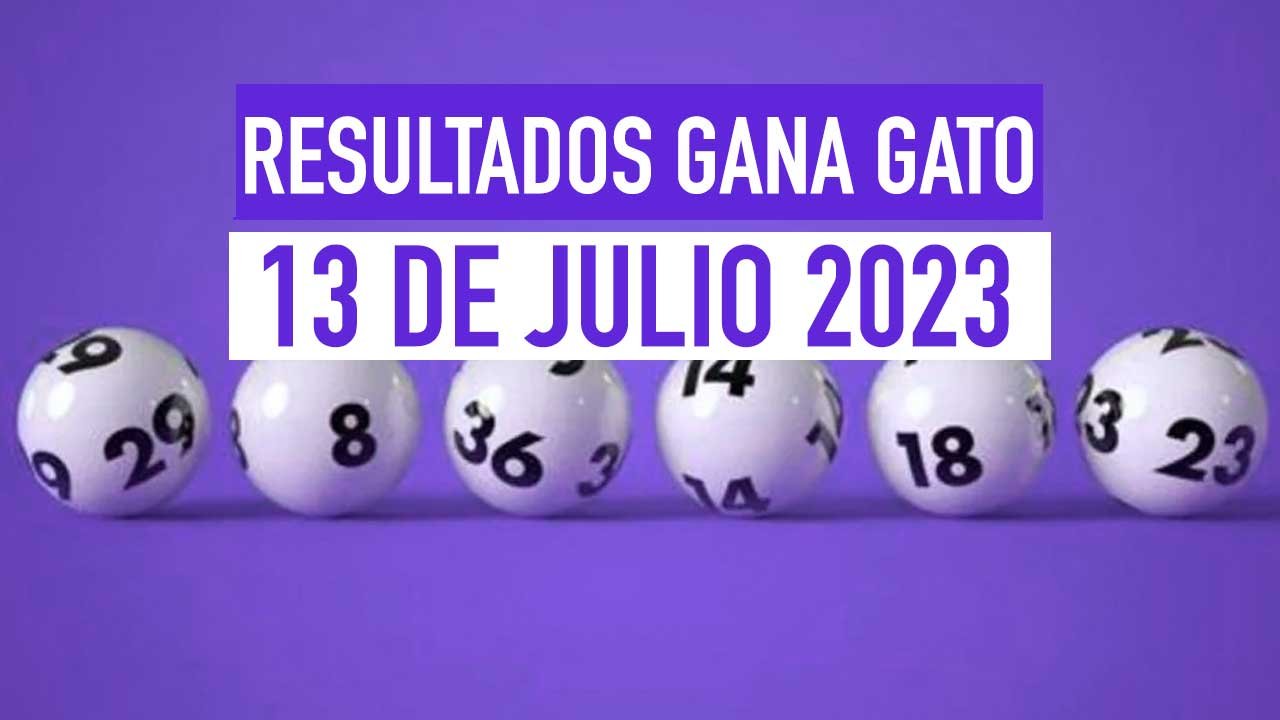 Sigue en vivo a los ganadores del Gana gato