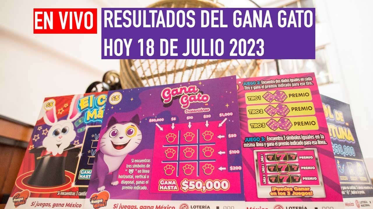 Te compartimos los ganadores del gana gato 2567