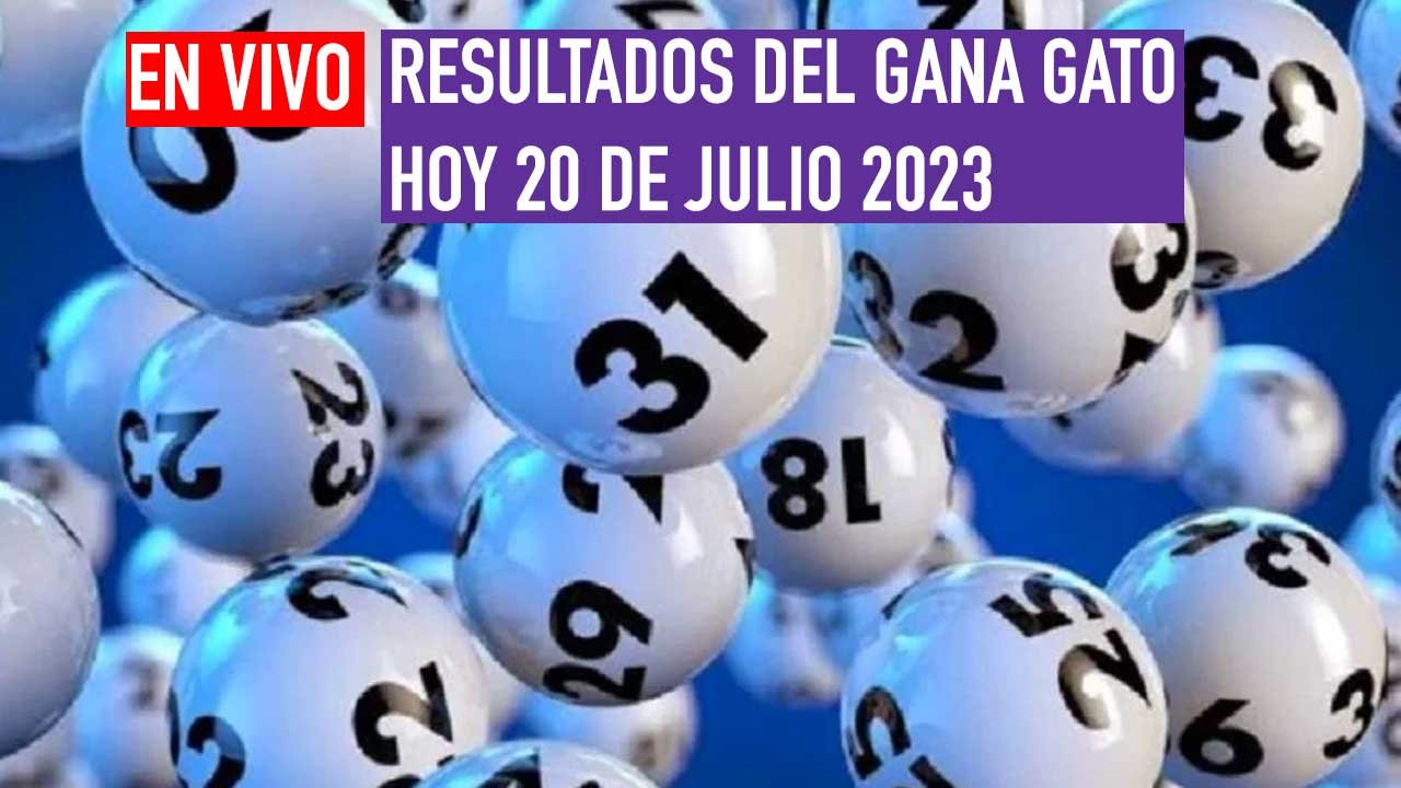 Checa a los ganadores del gana gato 2568