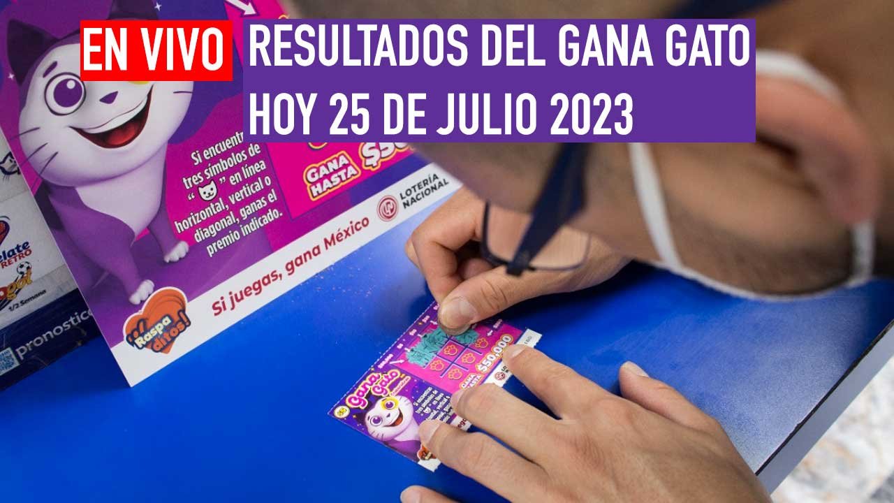 Checa a los ganadores del gana gato