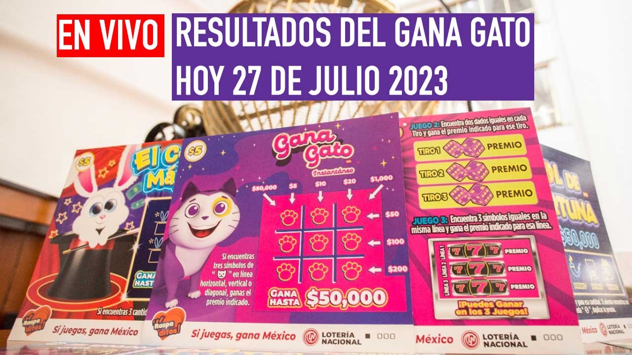 Sigue a los ganadores del gana gato