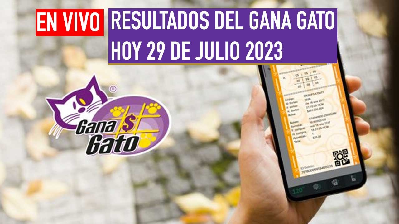 Checa los premios del gana gato en vivo