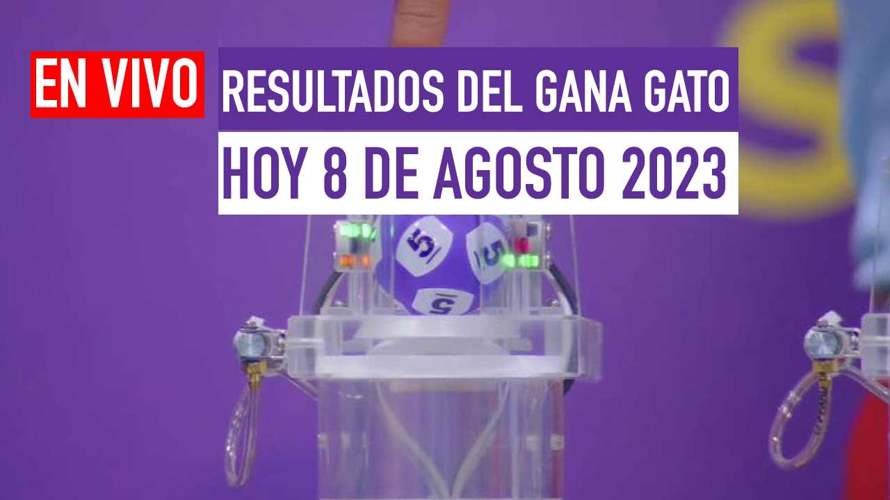 Checa los premios del gana gato