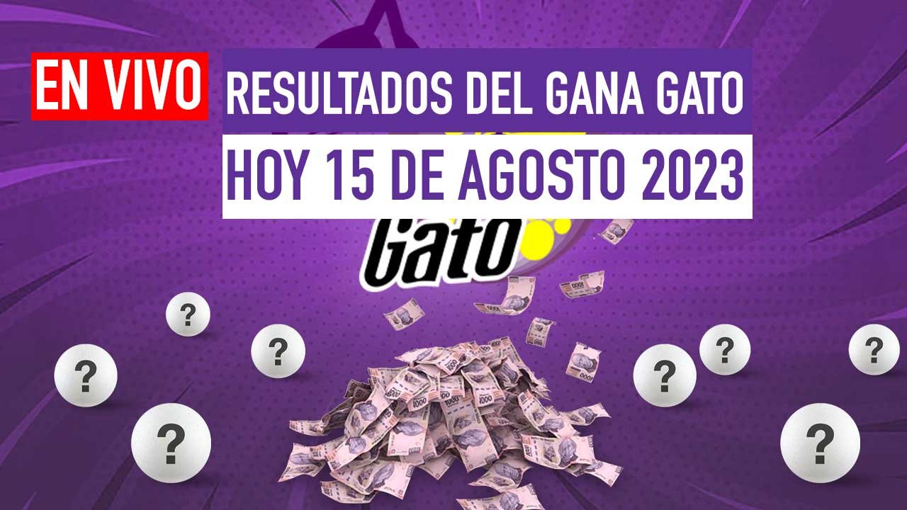 Checa premios del gana gato