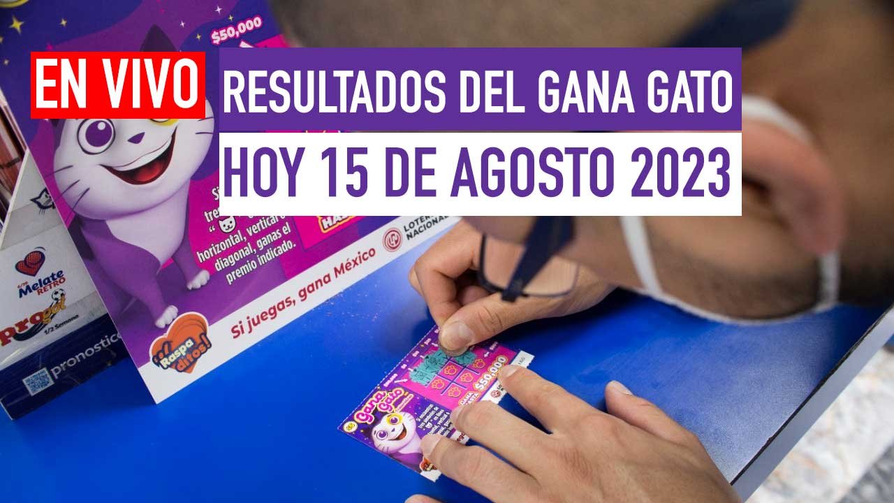 Sigue a los ganadores del gana gato en vivo