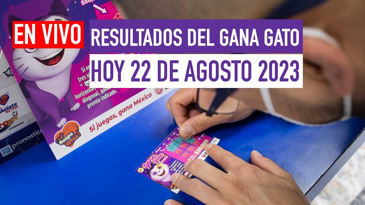 Checa los premios del gana gato
