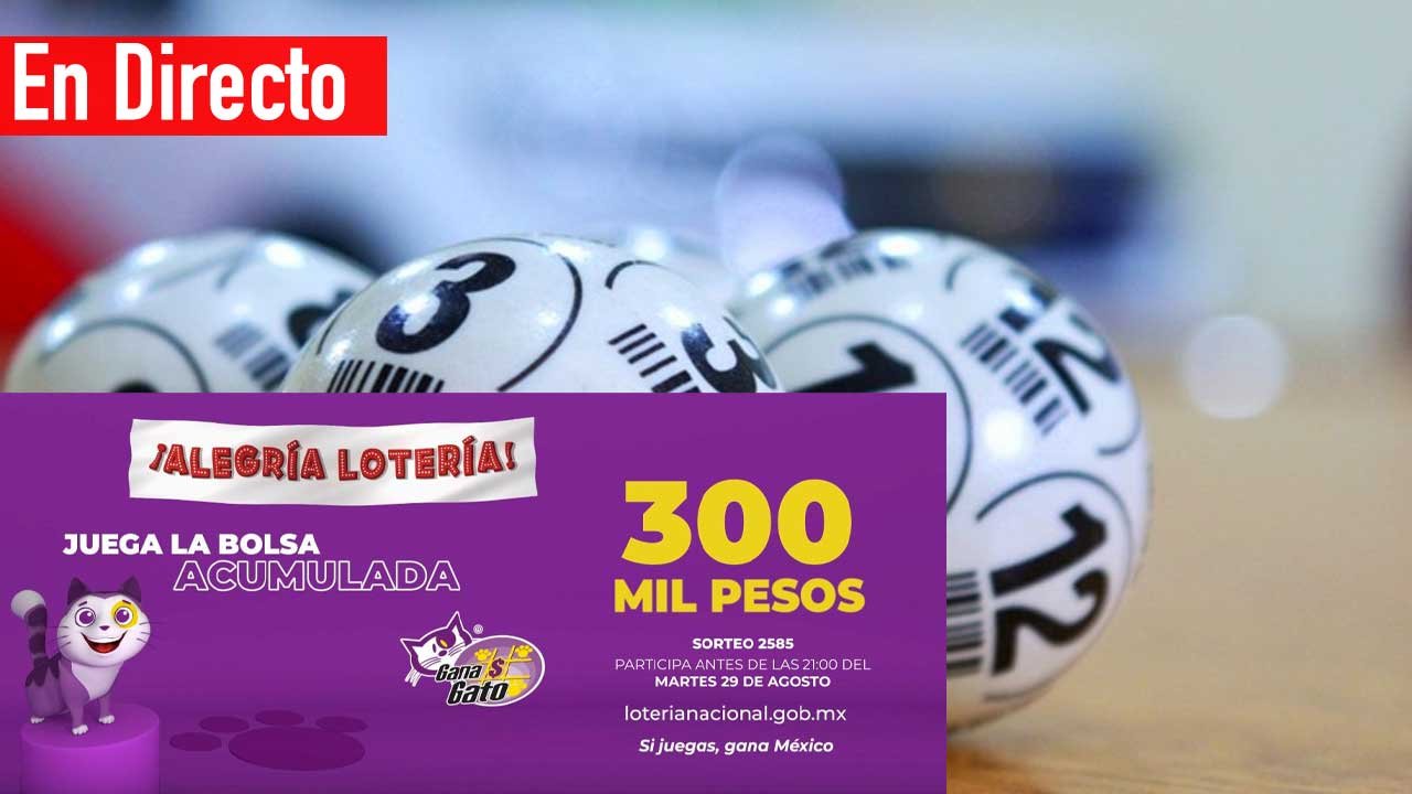 Checa los premios del gana gato