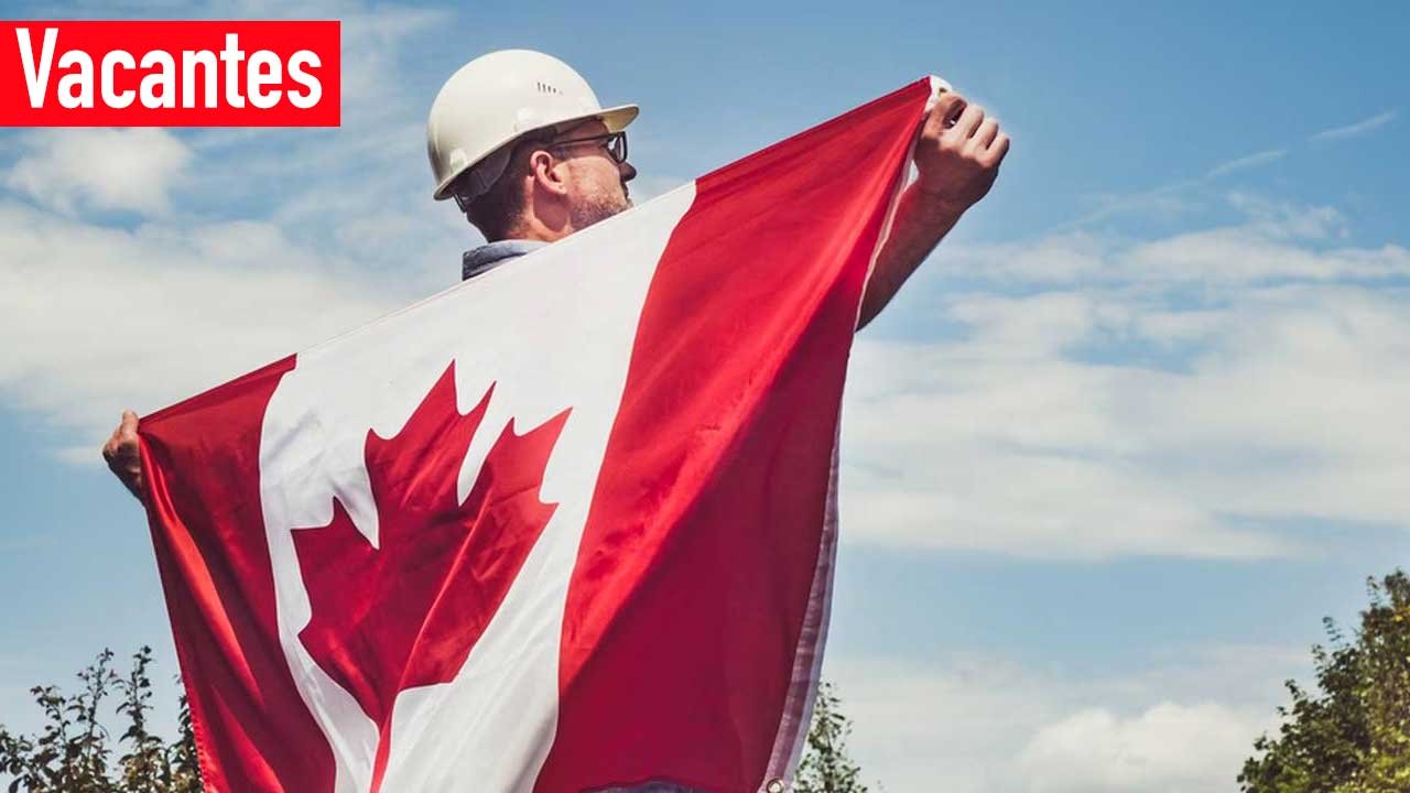 Este trabajo ofrece un sueldo alto