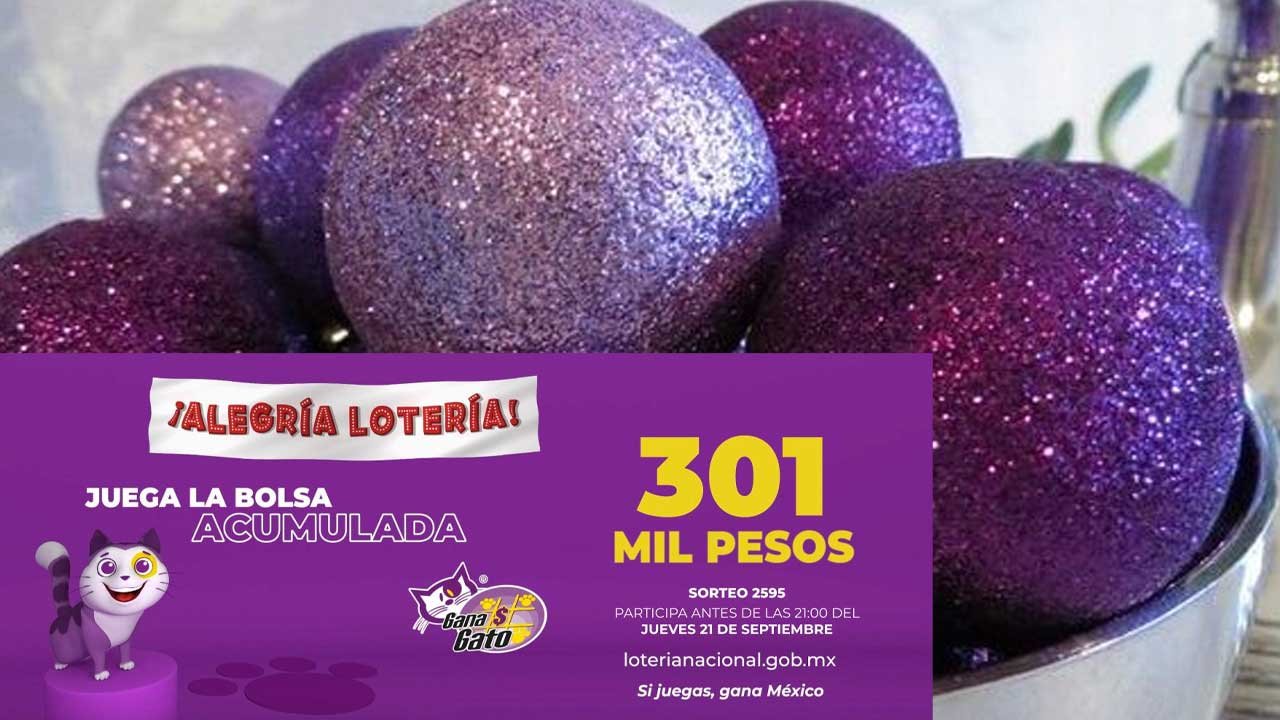 Checa los ganadores del gana gato